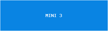 MINI 3