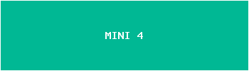 MINI 4